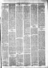 Milngavie and Bearsden Herald Friday 01 April 1904 Page 3