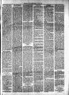 Milngavie and Bearsden Herald Friday 29 July 1904 Page 5