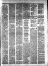 Milngavie and Bearsden Herald Friday 26 August 1904 Page 5