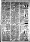 Milngavie and Bearsden Herald Friday 07 October 1904 Page 3