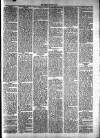 Milngavie and Bearsden Herald Friday 14 October 1904 Page 5