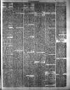 Milngavie and Bearsden Herald Friday 24 March 1905 Page 3