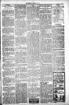 Milngavie and Bearsden Herald Friday 15 August 1919 Page 3