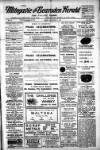 Milngavie and Bearsden Herald Friday 05 September 1919 Page 1