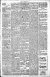 Milngavie and Bearsden Herald Friday 28 November 1919 Page 5