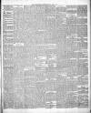 Buchan Observer and East Aberdeenshire Advertiser Friday 13 July 1877 Page 3