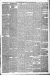 Buchan Observer and East Aberdeenshire Advertiser Friday 06 March 1885 Page 3