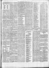 Buchan Observer and East Aberdeenshire Advertiser Thursday 29 January 1891 Page 5