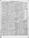 Buchan Observer and East Aberdeenshire Advertiser Thursday 19 February 1891 Page 5