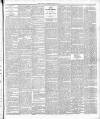 Buchan Observer and East Aberdeenshire Advertiser Tuesday 22 January 1895 Page 3