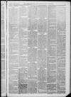 Horncastle News Saturday 23 March 1889 Page 3