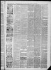 Horncastle News Saturday 13 April 1889 Page 3