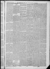 Horncastle News Saturday 13 April 1889 Page 5