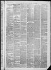 Horncastle News Saturday 20 April 1889 Page 3