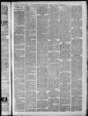 Horncastle News Saturday 17 November 1894 Page 3