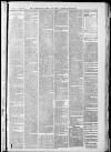 Horncastle News Saturday 06 April 1901 Page 3