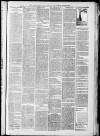 Horncastle News Saturday 20 April 1901 Page 3