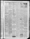 Horncastle News Saturday 18 March 1905 Page 3