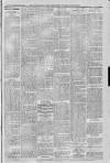 Horncastle News Saturday 24 January 1914 Page 3