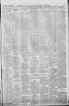 Horncastle News Saturday 26 April 1919 Page 3