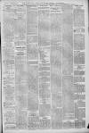 Horncastle News Saturday 10 April 1920 Page 3