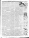 Lurgan Mail Saturday 03 February 1900 Page 3