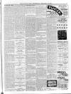 Lurgan Mail Saturday 10 February 1900 Page 3