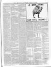 Lurgan Mail Saturday 10 February 1900 Page 7