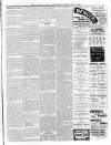 Lurgan Mail Saturday 24 February 1900 Page 3
