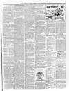 Lurgan Mail Saturday 07 April 1900 Page 3