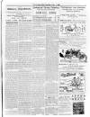 Lurgan Mail Saturday 02 June 1900 Page 3