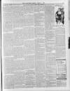 Lurgan Mail Saturday 05 January 1901 Page 3
