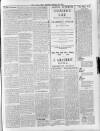 Lurgan Mail Saturday 19 January 1901 Page 3