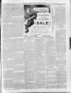 Lurgan Mail Saturday 02 February 1901 Page 3