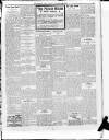 Lurgan Mail Saturday 29 January 1916 Page 3