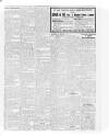 Lurgan Mail Saturday 11 January 1919 Page 3