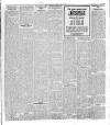 Lurgan Mail Saturday 31 May 1919 Page 3