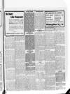Lurgan Mail Saturday 14 February 1920 Page 5