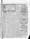 Lurgan Mail Saturday 26 June 1920 Page 3