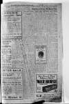 Lurgan Mail Saturday 10 January 1925 Page 3