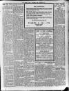 Lurgan Mail Saturday 25 October 1930 Page 5
