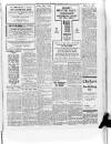 Lurgan Mail Saturday 03 January 1931 Page 3