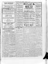 Lurgan Mail Saturday 17 January 1931 Page 3