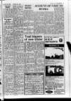 Lurgan Mail Friday 18 March 1966 Page 25