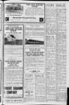 Lurgan Mail Friday 22 August 1969 Page 19