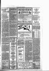 Forfar Dispatch Thursday 13 March 1924 Page 3