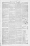 Bucks Advertiser & Aylesbury News Saturday 11 February 1837 Page 5