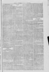 Bucks Advertiser & Aylesbury News Saturday 07 October 1843 Page 7