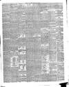 Galloway Gazette Saturday 25 July 1891 Page 3