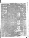 Galloway Gazette Saturday 19 January 1895 Page 3